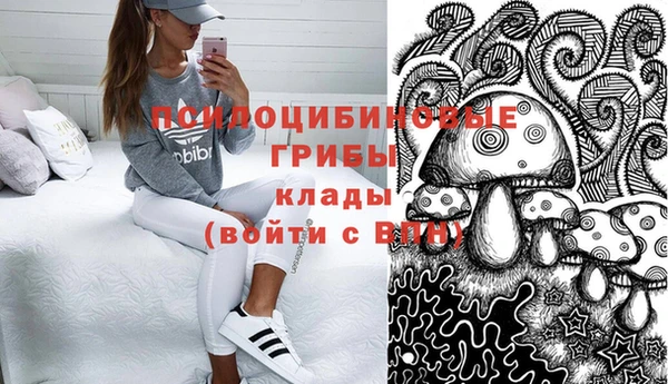МДПВ Абдулино